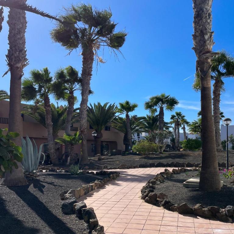 Oasis Duna Suite 2 rooms Sand & Soul by B-Rent - Apartamento de 2 dormitorios - 12
