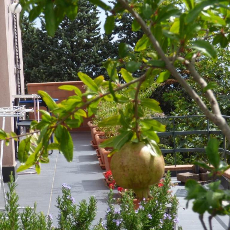 Etna Holiday Home - Standard Studio - 3