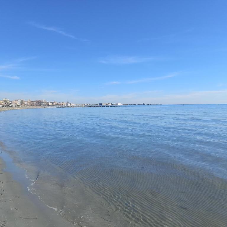 sol y arena - Apartamento - 7
