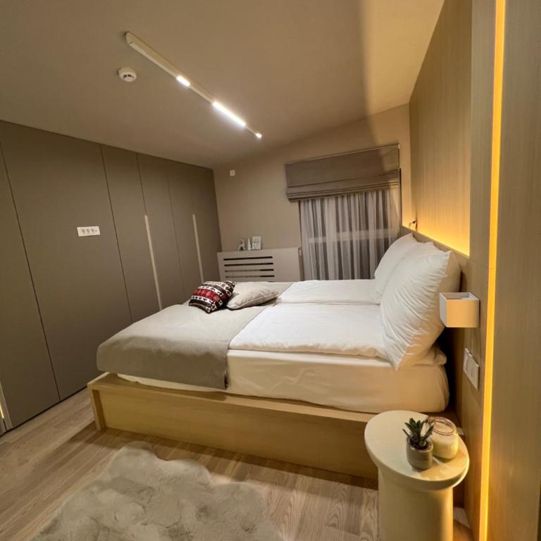 Luxury Ski Apartment A64 Aparthotel VUČKO Jahorina Private host - Three-Bedroom Apartment with View - 25