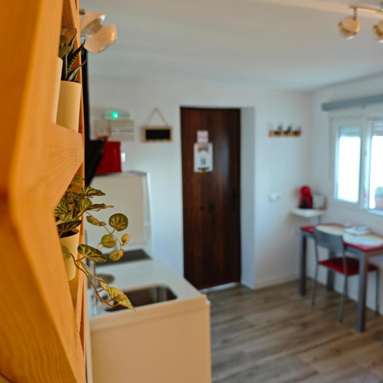 Apartamento MARIANTO - Apartamento de 1 dormitorio - 2