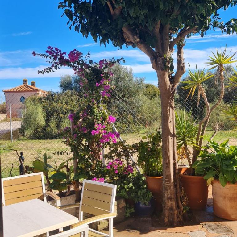 Casita de María - Apartamento - Planta baja - 3
