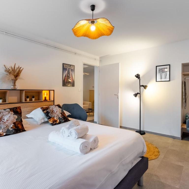 Le Saloir du Faubourg - Centre-ville de Nancy - Appartement 2 Chambres - 3