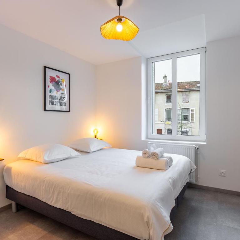 Le Saloir du Faubourg - Centre-ville de Nancy - Appartement 2 Chambres - 5