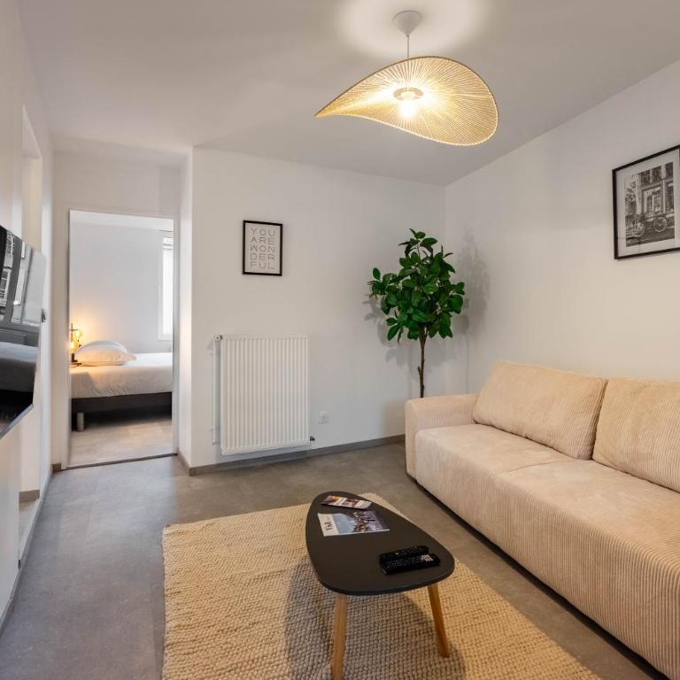 Le Saloir du Faubourg - Centre-ville de Nancy - Appartement 2 Chambres - 12