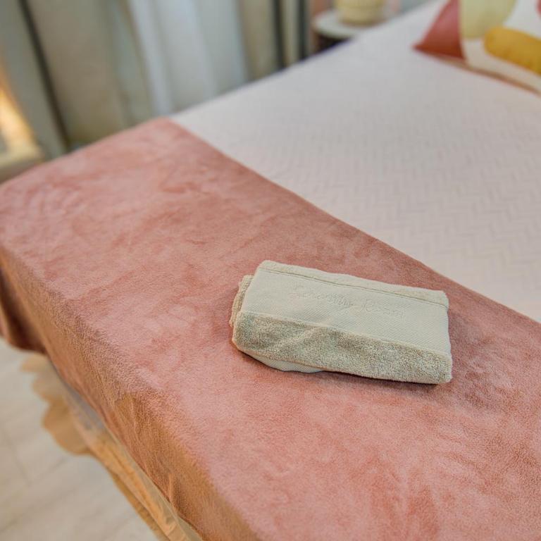 Suite Spa & détente , Centre Bourgoin, Wifi rapide - Appartamento con 1 Camera da Letto - 4