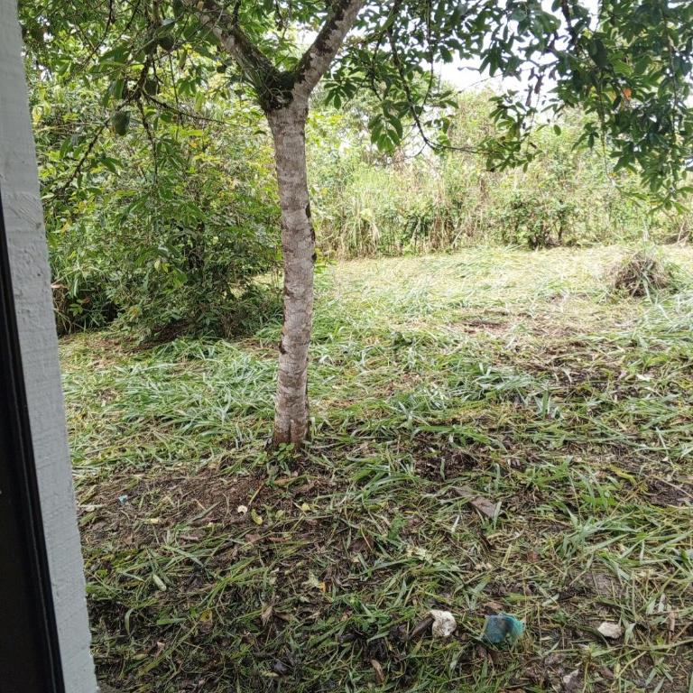 Casa vacacional Pedro Vicente - One-Bedroom House - 29