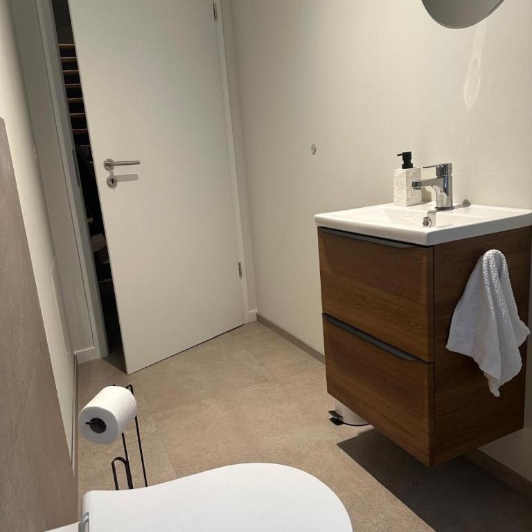 Maison du Bonheur, Mulhouse historic center - Apartment mit 3 Schlafzimmern - 22