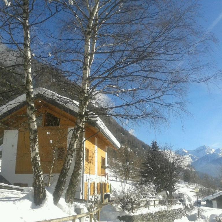 BAITA CUCOL: APPARTAMENTO CON GIARDINO PRIVATO - Deluxe Apartment mit 1 Schlafzimmer und Gartenblick - 17