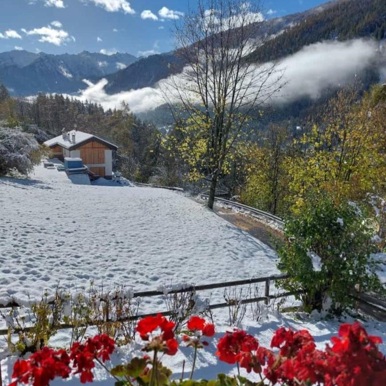BAITA CUCOL: APPARTAMENTO CON GIARDINO PRIVATO - Deluxe Apartment mit 1 Schlafzimmer und Gartenblick - 12