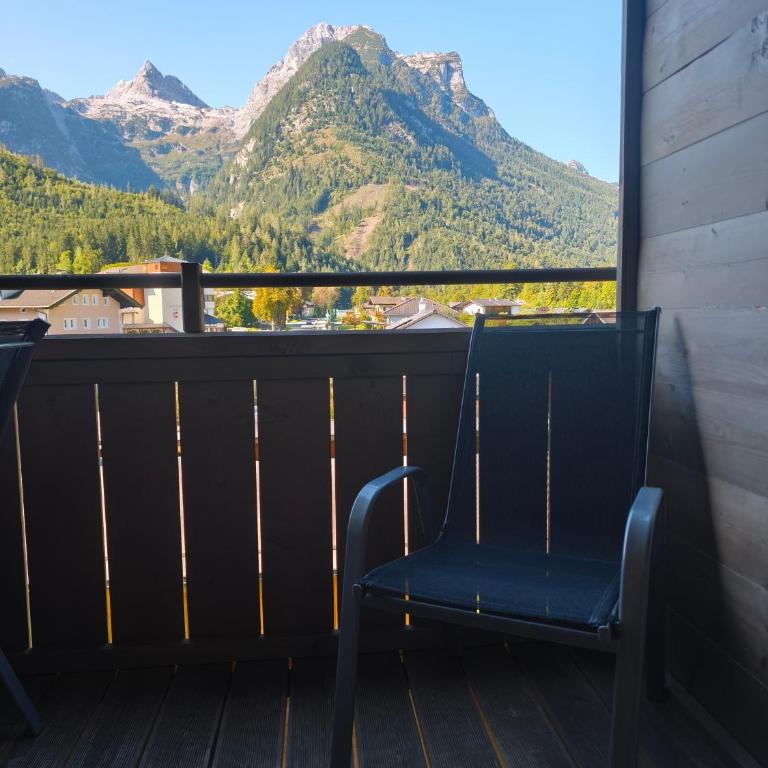 TOP 7 Lofer 242 - Appartement 1 Chambre - 4