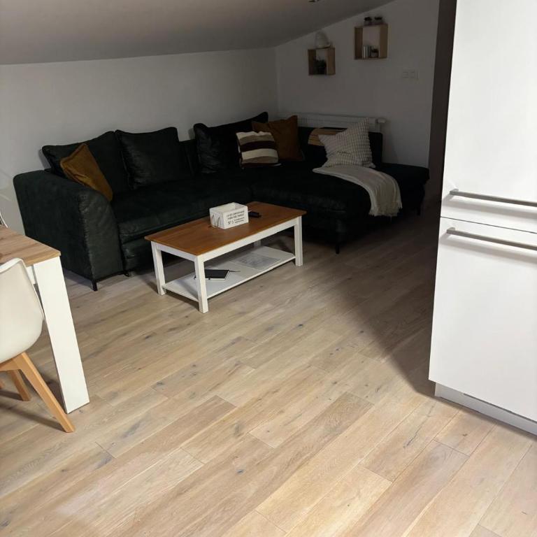 TOP 7 Lofer 242 - Appartement 1 Chambre - 7