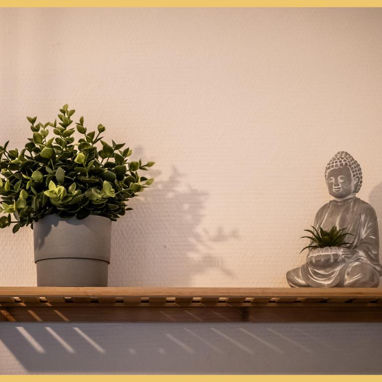 Little cocoon I Studio I Annemasse - Studio - 19