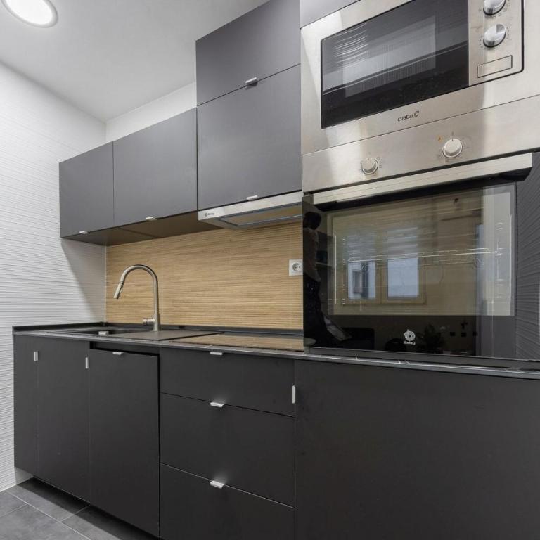 Toro La Latina - One-Bedroom Standard Apartment - 4