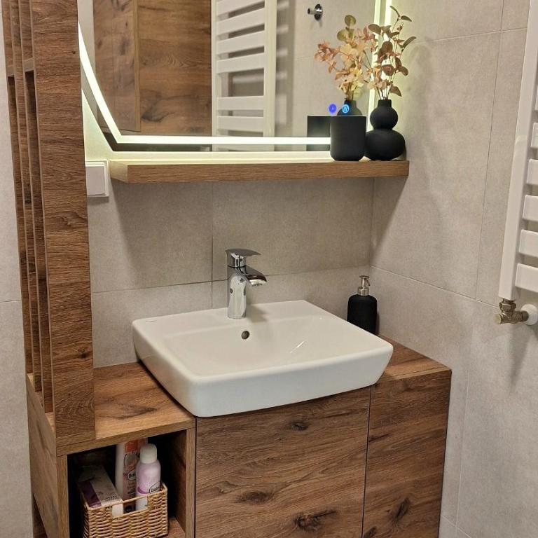 Luna Residence - One-Bedroom Apartment - 25