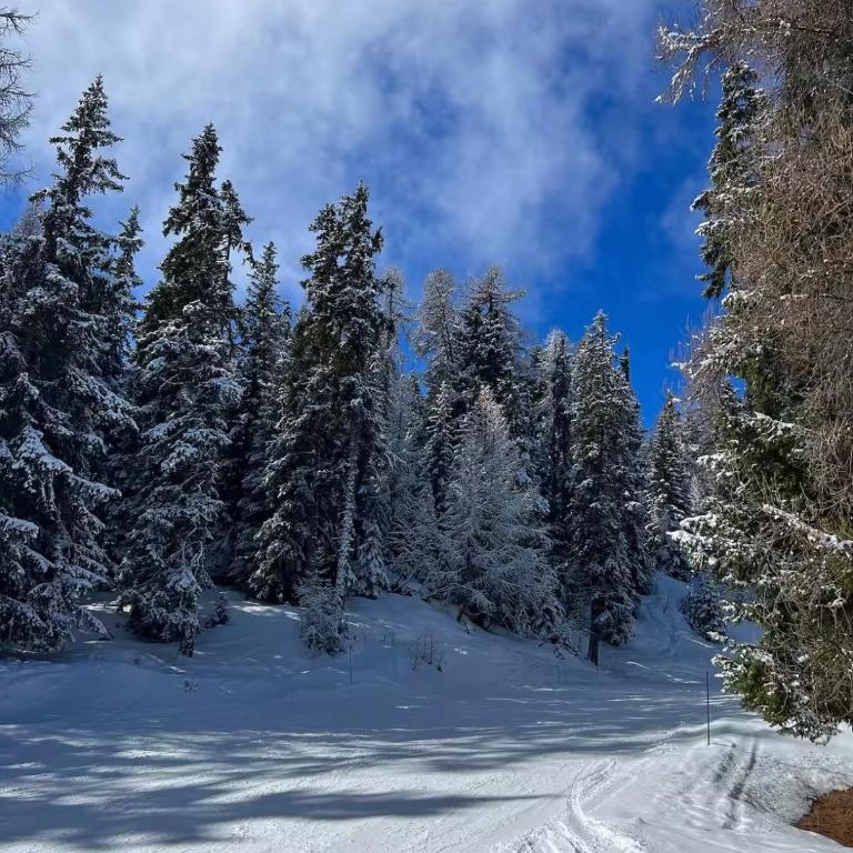 Le 44 Montagne & Famille - Appartamento con 1 Camera da Letto - 19