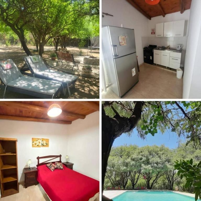 Cabañas en monte autóctono con pileta - Apartamento de 1 dormitorio - 1