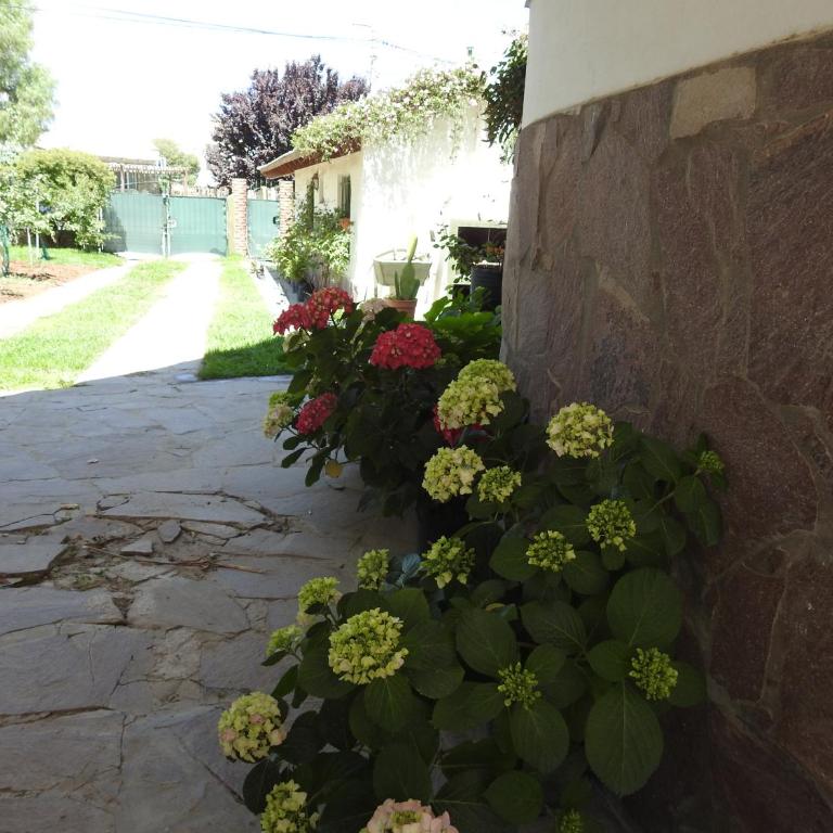 Mareas Bajas - Apartamento - 37