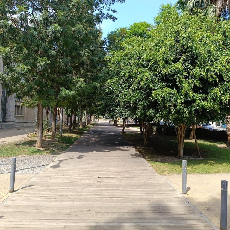 Centrally located apartment with a pool and parking - Apartamento de 3 dormitorios con balcón - 9