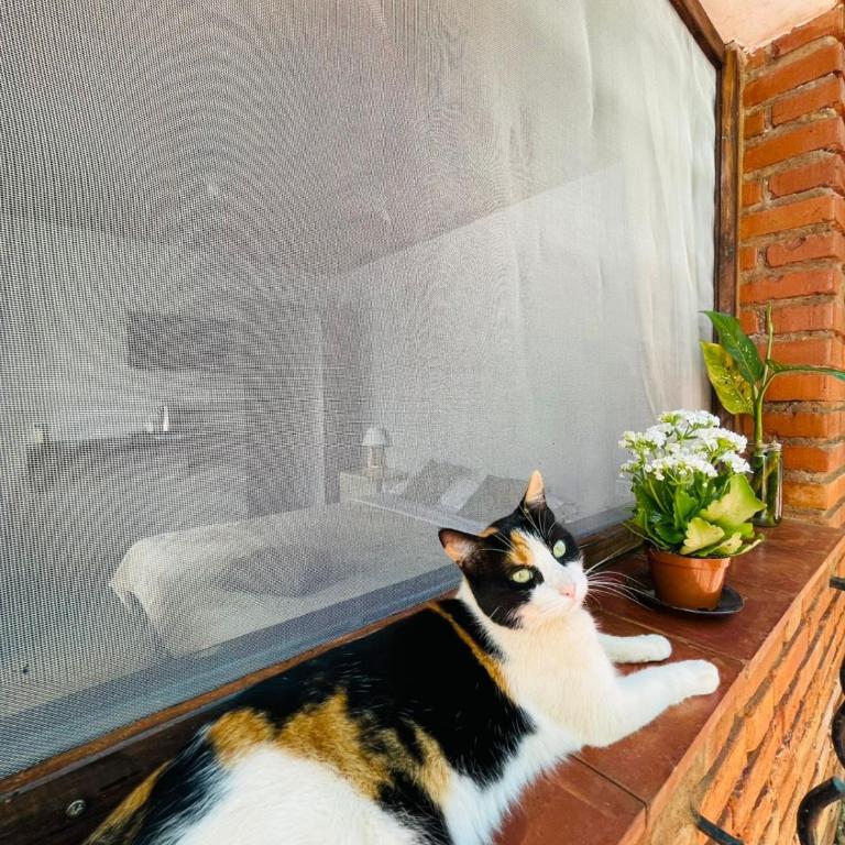 Double room at Iguassu Falls - One-Bedroom Apartment - 18
