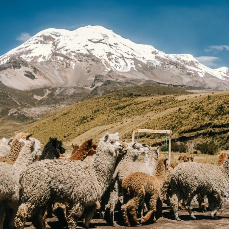 Taytapak Wasi - Apartamento - 4