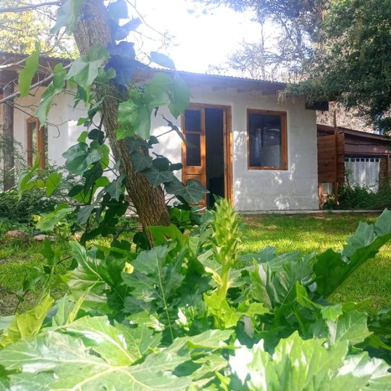 Alumbra - One-Bedroom House - 4