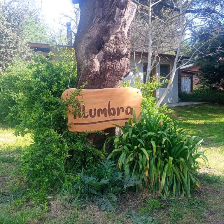 Alumbra - One-Bedroom House - 10