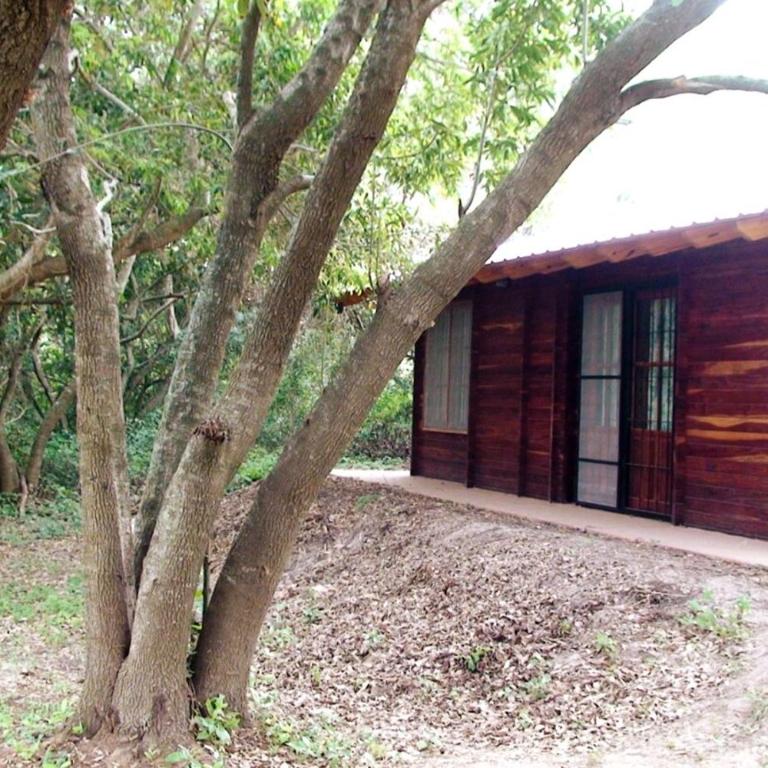 Cabaña Los Nonos - One-Bedroom House - 4