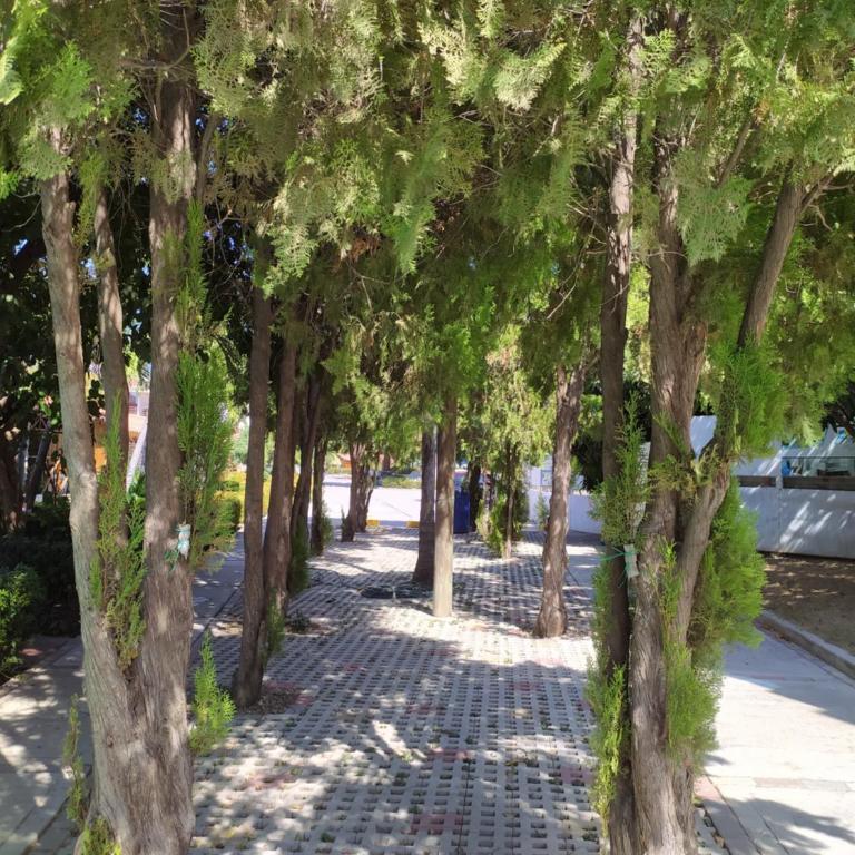 Chalet Completo para Familias Condominio Campestre Privado con Piscinas, wifi, AC - Two-Bedroom House - 23