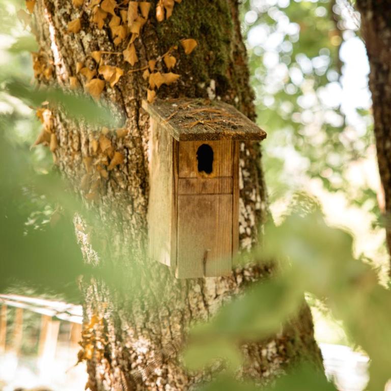 Les Cabanes Du Saleve - Cabane dans les Arbres Les Pitons - 17
