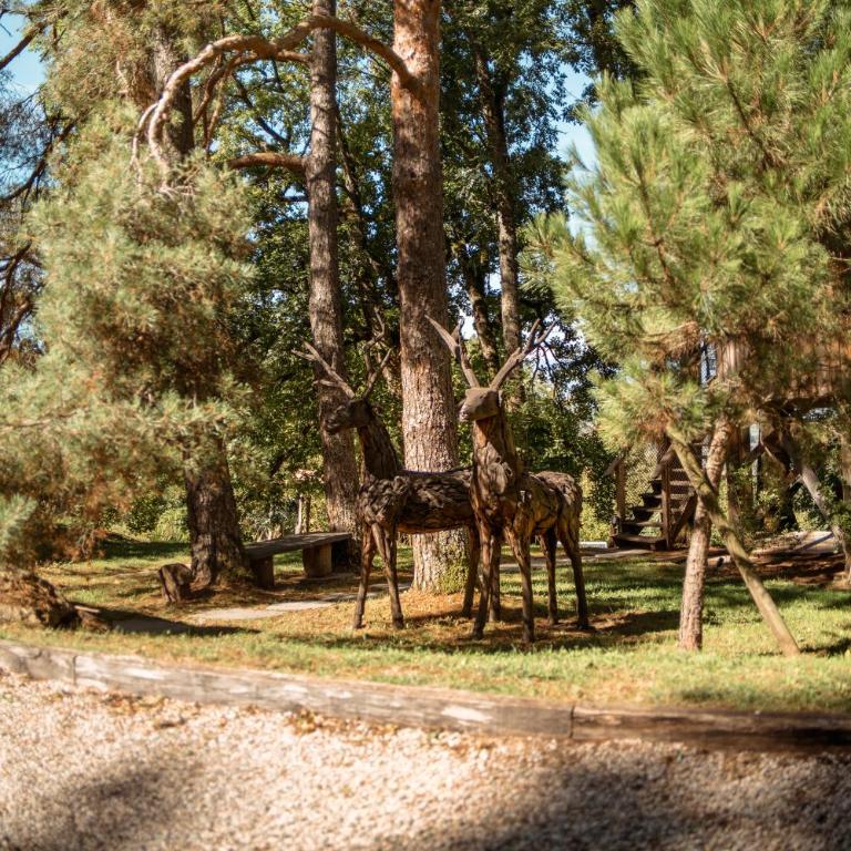 Les Cabanes Du Saleve - Cabane dans les Arbres Les Pitons - 27