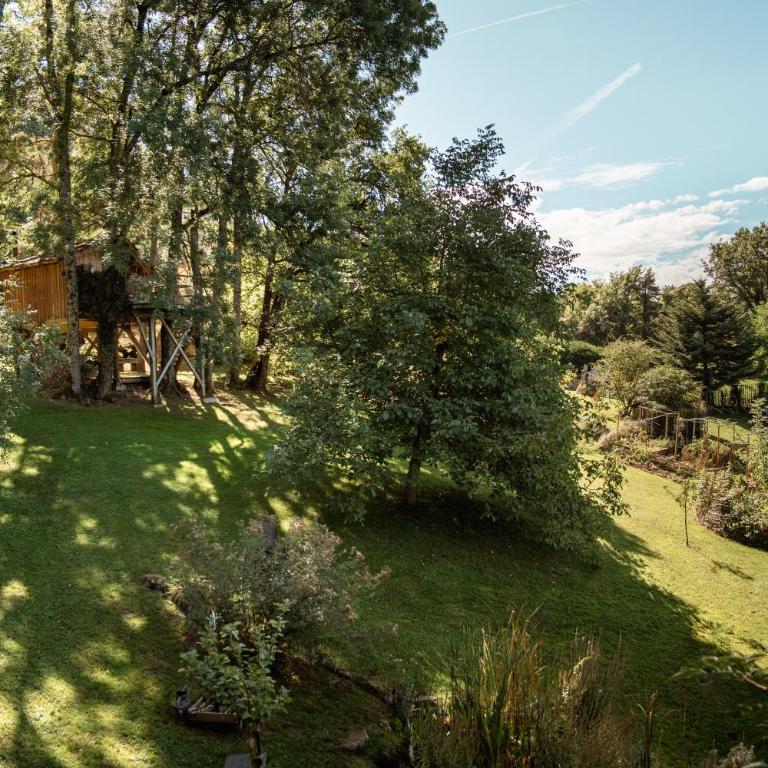 Les Cabanes Du Saleve - Cabane dans les Arbres Les Pitons - 3