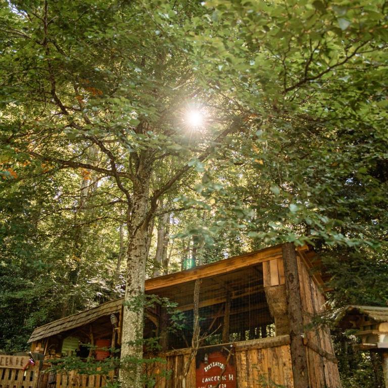 Les Cabanes Du Saleve - Cabane dans les Arbres Les Pitons - 33