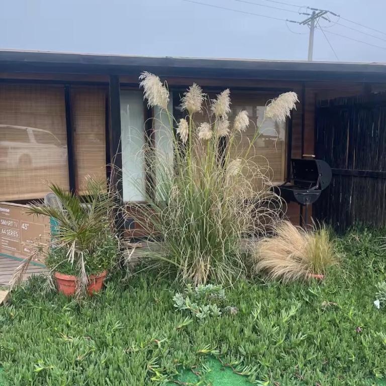 Cabañas Matanzas y Pupuya - One-Bedroom Apartment - 3