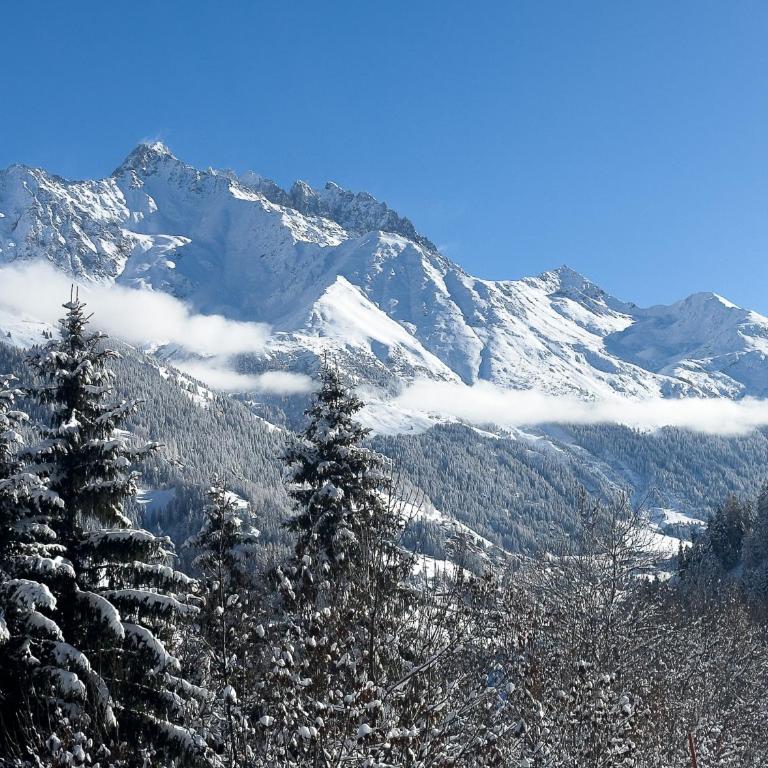 Chalet les Mélèzes - Typique, terrasse & cheminée - Haus mit 3 Schlafzimmern - 44