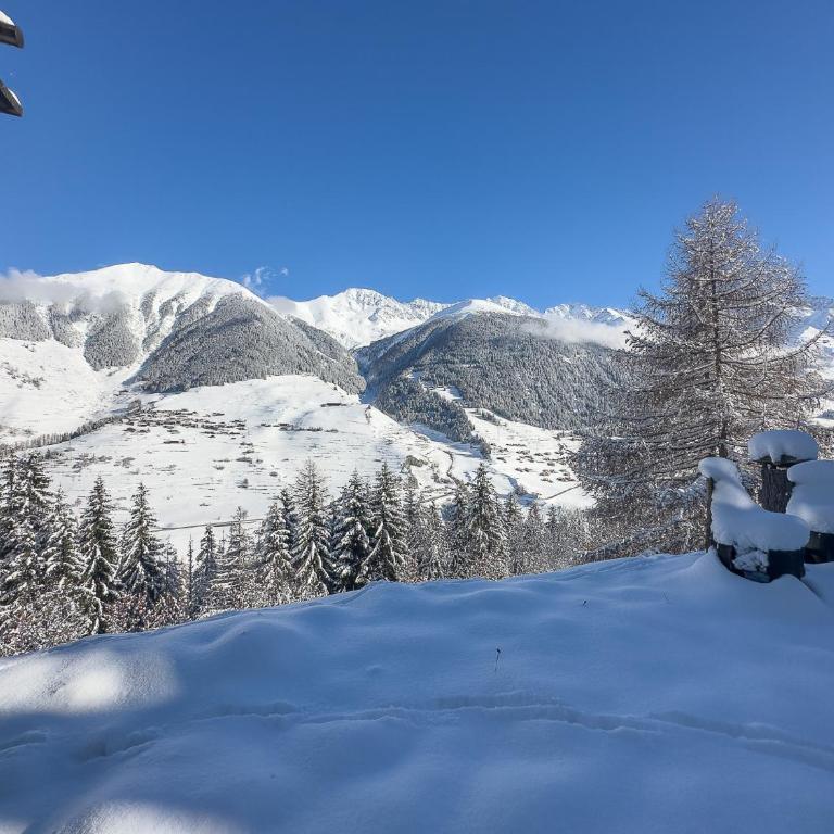Chalet les Mélèzes - Typique, terrasse & cheminée - Haus mit 3 Schlafzimmern - 47