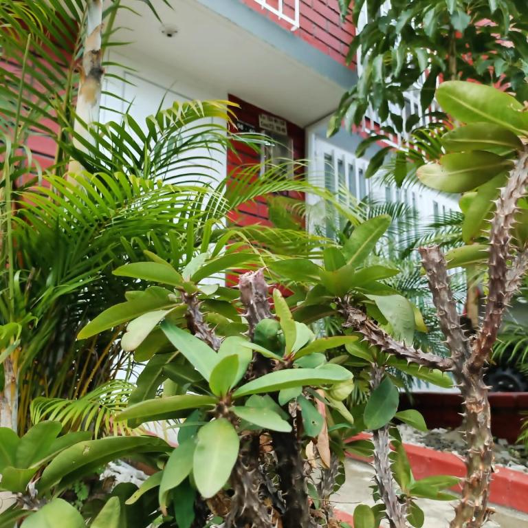 Casa 4 Hab Pereira Cerca Expo futuro Aeropuerto WiFi - Four-Bedroom House - 31