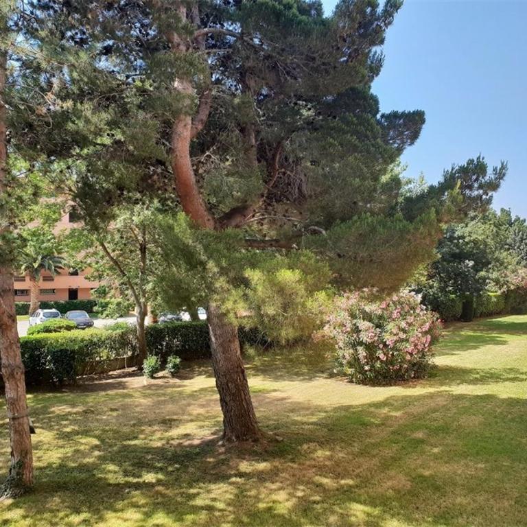 Charmant T2 à 300m de la Plage avec Parking, Loggia Vitrée et Animaux Acceptés - 4 Personnes - FR-1-388-69 - Appartement (4 Adultes) - 11