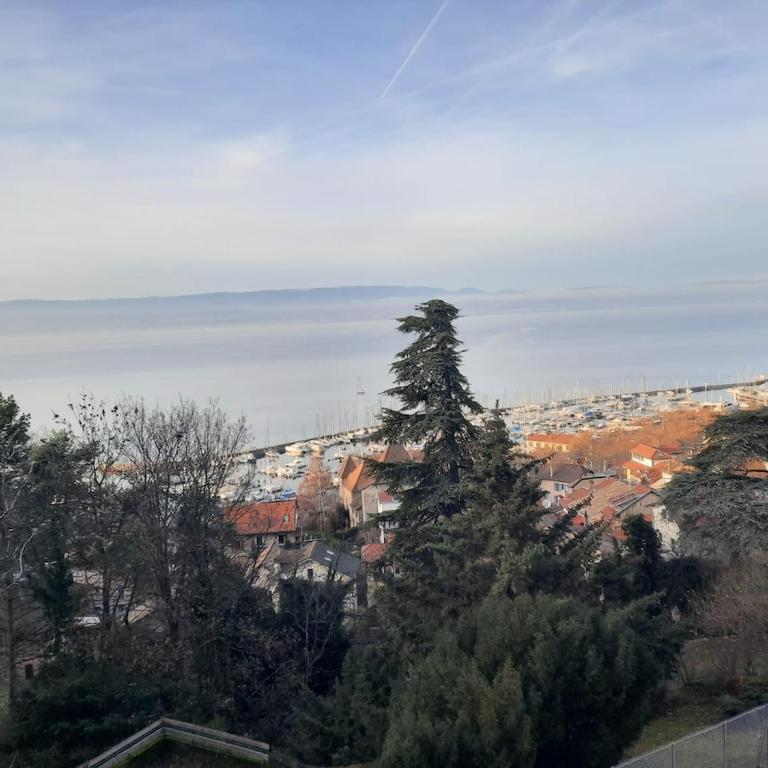 Le Cosy Center - Apartment mit 2 Schlafzimmern - 16