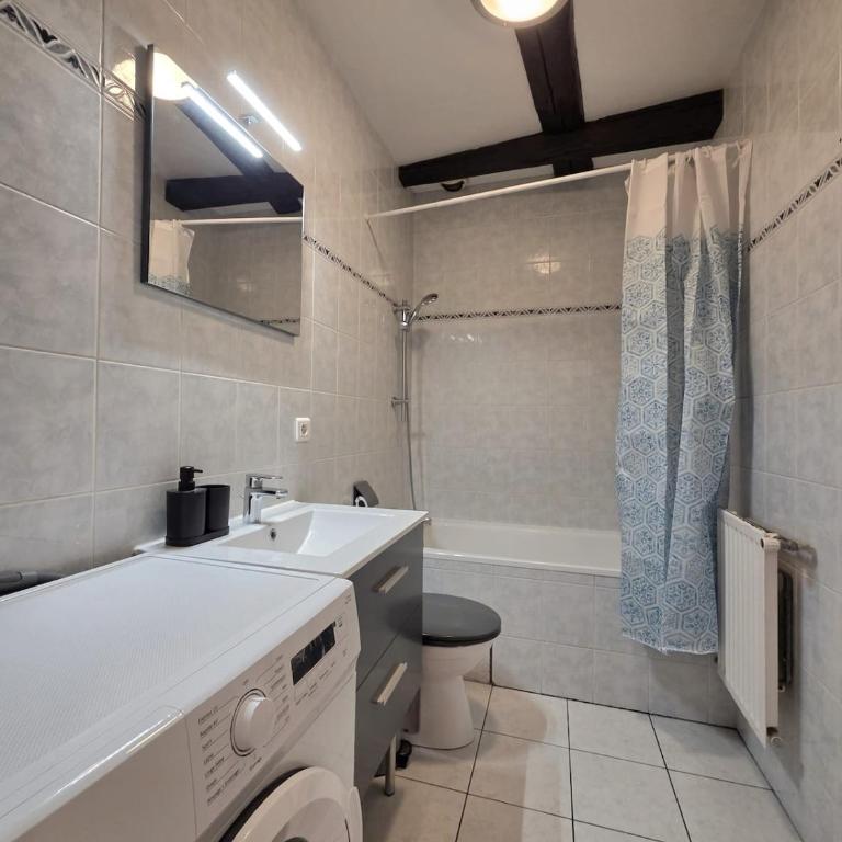 Le Cosy Center - Apartment mit 2 Schlafzimmern - 6