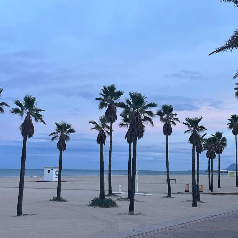 Casa Blanca - apartamento en Gandia - Apartamento de 3 dormitorios - 53