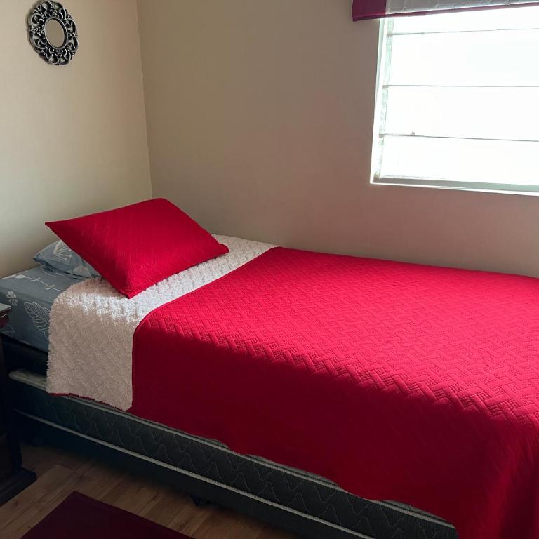 Departamento en Centro de Temuco - Two-Bedroom Apartment - 11