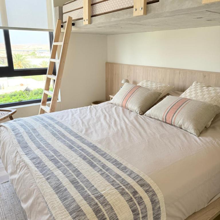 Apartamento en Paracas Vista Playa y Reserva - Apartamento de 1 dormitorio - 17