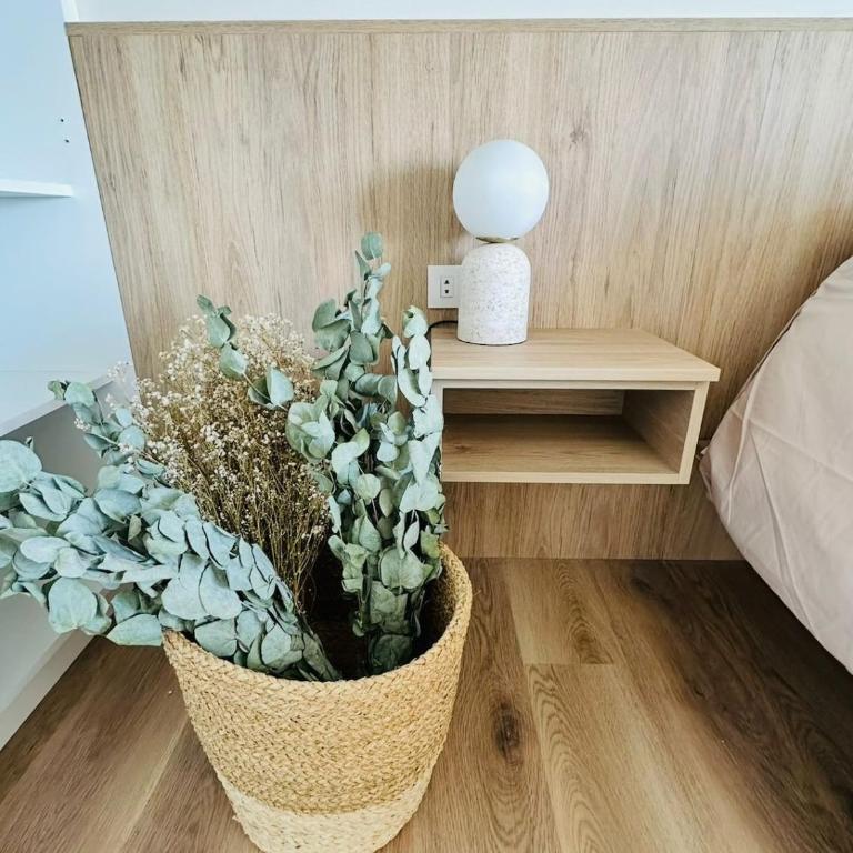 Apartamento en Paracas Vista Playa y Reserva - Apartamento de 1 dormitorio - 38