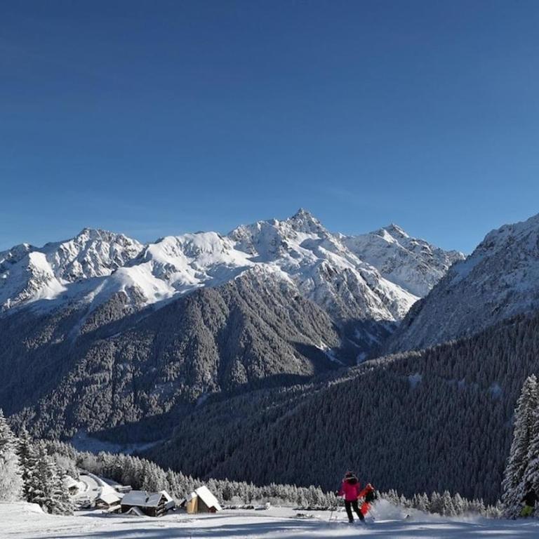 Chalet Cocoon en lisière de forêt, avec grande terrasse, et vue 'waouh' - Chalet 1 Chambre - 13