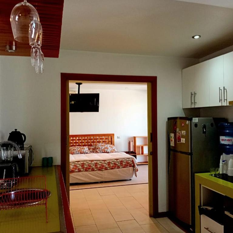 Don Santiago Terraza - One-Bedroom Apartment - 7