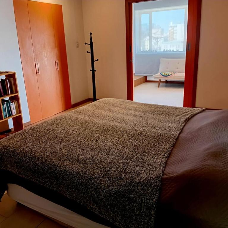 Don Santiago Terraza - One-Bedroom Apartment - 16