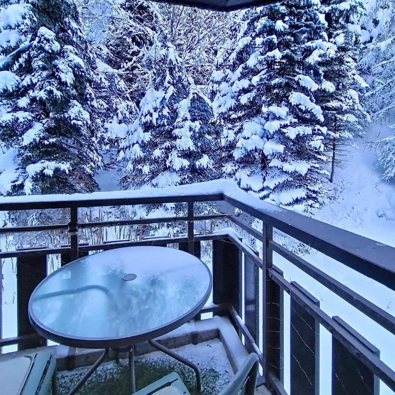 Studio moderne 17 m² · Balcon · 2 pers · WiFi gratuit - FR-1-344-1122 - Studio - 10