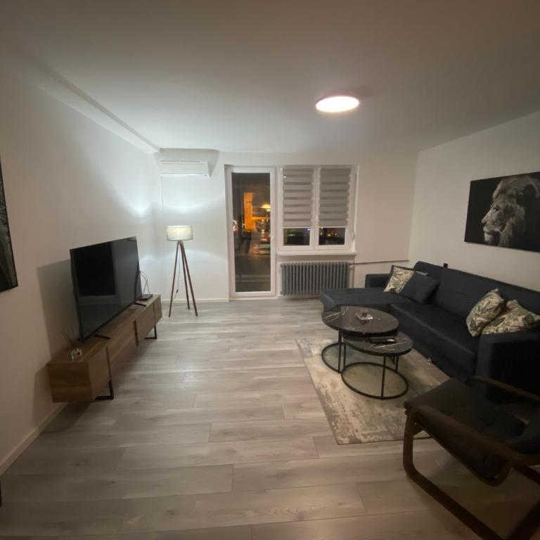 Apartament in Novi Sad - Apartman sa 1 Spavaćom Sobom - 2