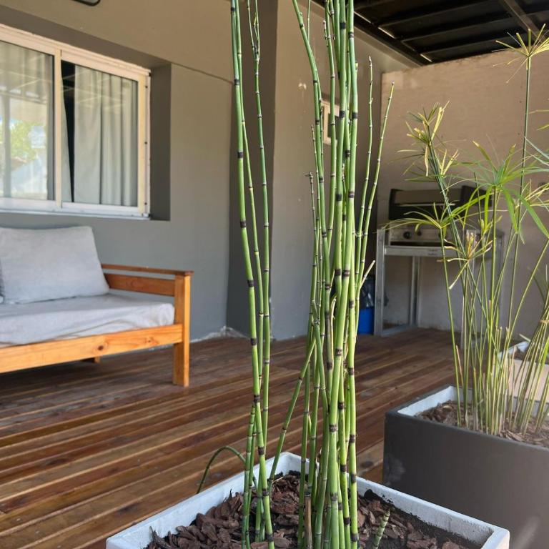 Complejo Drina - Apartamento de 2 dormitorios - 1